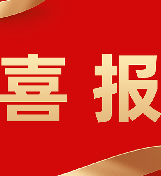 蘇州捷賽成功入選《蘇州市第三批知識產(chǎn)權(quán)重點企業(yè)保護(hù)名錄》！